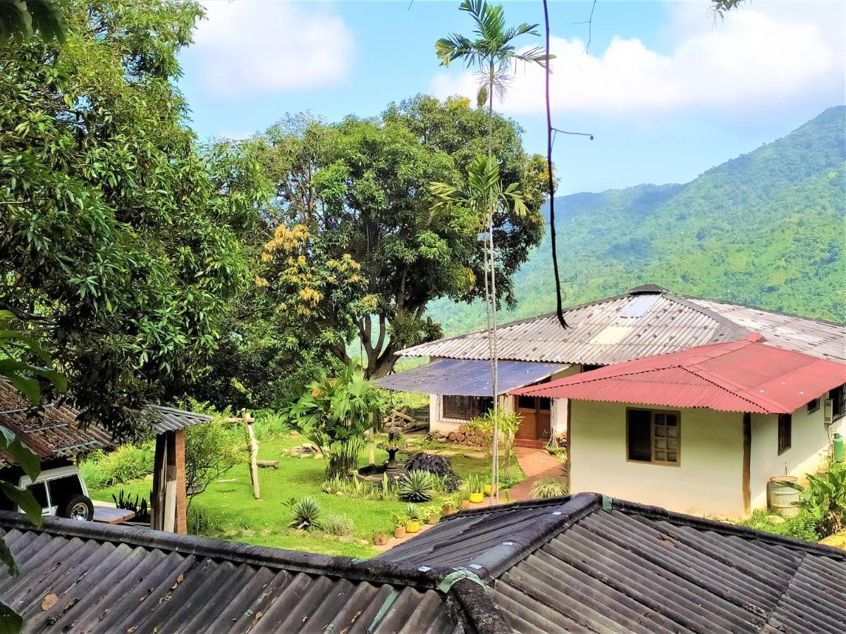 Finca Hostal Bolivar - Casa Quinta مينسا المظهر الخارجي الصورة